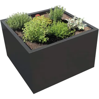 Palatino Exclusive Line Hochbeet/Pflanzkübel Clara verz. Stahl anthrazit 80 x 80, Höhe 50 cm, modular