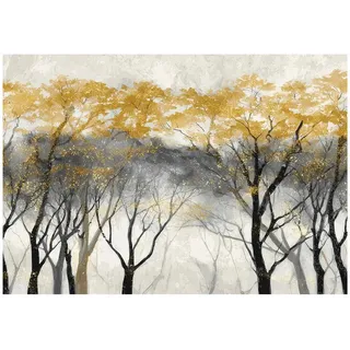 WallArena Fototapete Bäume Wald Beige 350x250 cm