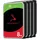 IronWolf 8 TB 3,5" 1616 Mb/s