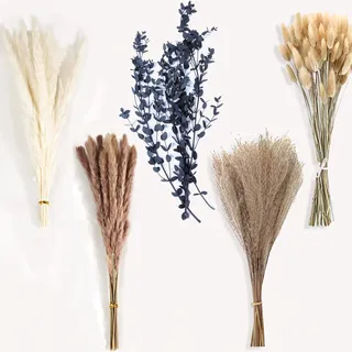 110 Stück Natürliche Getrocknetes Pampasgras, Trockenblumen Eukalyptus für Hochzeit Boho Deko Wohnzimmer