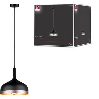 Paulmann Neordic Embla (79629)