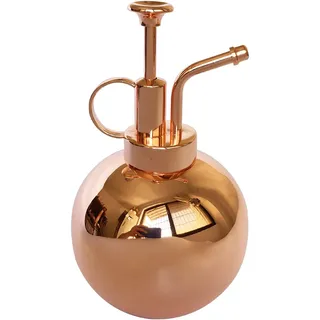 LianShi Plant Mister Sprühflasche Edelstahl Pflanzensprüher, kleine Gießkanne, Pflanzensprühflasche, moderne Gartengeräte zum Gießen und Besprühen von Topfpflanzen im Innenbereich