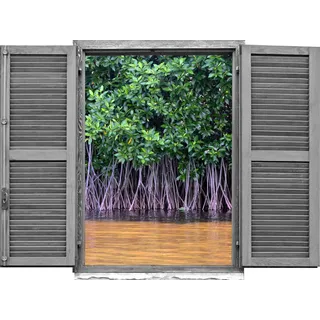 Queence "Bäume im See", Wandsticker, Wandbild, selbstklebend, 3D, Fenster,