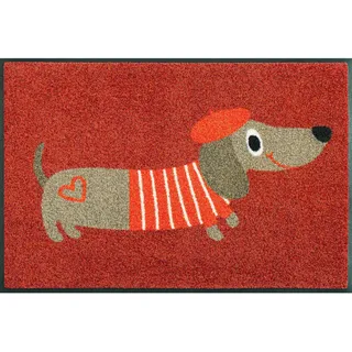 wash+dry FUßMATTE , Rot , Textil , Hund , rechteckig , 50x75 cm , rutschhemmend, pflegeleicht , Teppiche und Böden, Schmutzfangmatten, Fußmatten