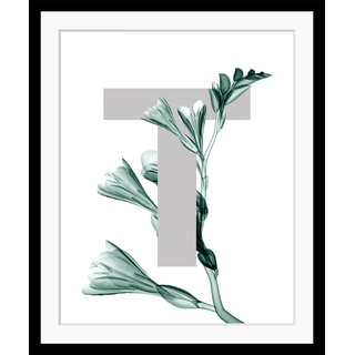 queence Bild »T-Flower«, Buchstaben, gerahmt, Blume, Blätter, grau