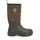 Damen Brown 39