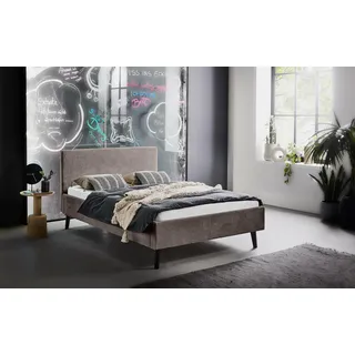 Meise Möbel Polsterbett Coleraine & braun - Maße cm B: 146 H: 100