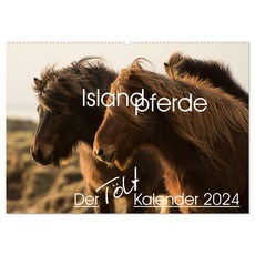 Bild Islandpferde - Der Tölt Kalender Wandkalender 2024) - A3