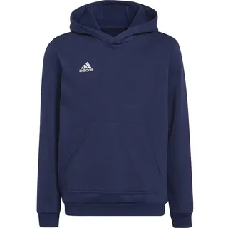 Adidas Entrada 22 Sweat, TENABL, 176