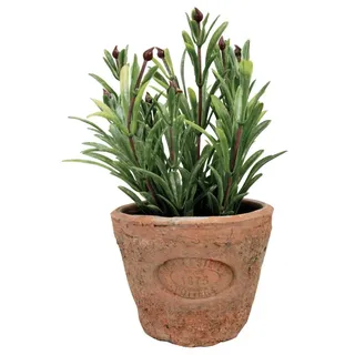 Esschert's Design AH011 Kleine künstliche Pflanze in Terrakotta-Topf im Antik-Stil, Rosmarin