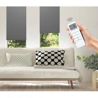 Good Life Elektrisches Rollo »Vau - SMART HOME« Lichtschutz ohne Bohren mit Fernbedienung, grau