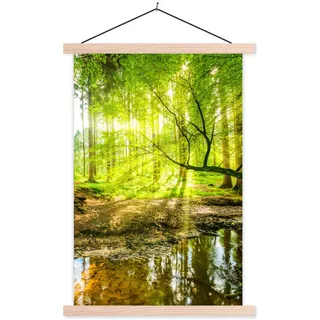 MuchoWow Poster Wald - Landschaft - Wasser - Bäume - Sonne - Grün - Natur 60x90 cm , Textil , Rechteckig , 60x90x0.15 cm , Bilder & Rahmen, Bilder, Sonstige Wandbilder