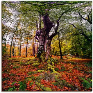 Artland Wandbild »Baum im Wald«, Baumbilder, (1 St.), als Leinwandbild, Poster in verschied. Größen, grün