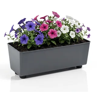 Lamela Rechteckiger Pflanzkasten mit eleganten Füßen – Antrazit Blumenkübel aus robustem Kunststoff 37x17 cm, 6L – Wetterfest & Pflegeleicht - für Innen & Außen, Anti-meise
