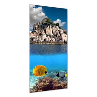 Wallario selbstklebende Duschrückwand 80 x 180 cm mit Motiv Exotische Fische im Meer - Wandverkleidung mit Hochglanzlaminat in Glasoptik
