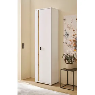 Home Affaire Mehrzweckschrank »LONG ISLAND« 1 Stk. tlg. in moderner Trendfarbe,inklusive senkrechter Beleuchtung,Breite 55 cm,