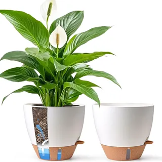 T4U 2er Set 30cm Selbstbewässernder Blumentopf mit Überlaufschutz, für Gummibaum & Geigenfeige, blumentopf Gross innen & pflanzkübel groß außen, Weiß