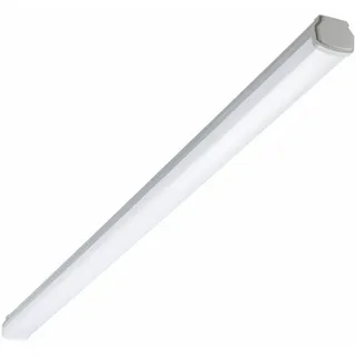 Philips Ledinaire 1 grau IP66 150 cm
