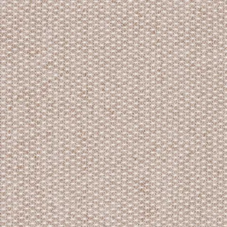 Solpuri Club Loungesessel wetterfest anthrazit