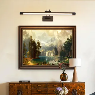 TYhogar LED Spiegelleuchte Badezimmer 60cm 12W 3 Farbtemperaturen Dimmbar Stufenlos Dimmbar LED Bilderleuchte mit Schwenkbarem Lampenkopf Wandleuchte Arc Arm Spiegel Beleuchtung Lampe