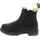 2976 Leonore