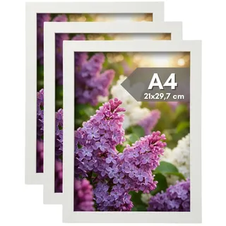 NOOGUI - Bilderrahmen a4 - Holz Weiß - 21×30 cm - Mit Antireflex‐Plexiglas - Für Fotos, Urkunden, Poster oder Puzzle - Vertikale und horizontale Positionierung - Stärke 2 cm - 3er-pack