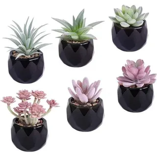 Mini-Blumenpflanzen mit Pottensil - Set aus 6 Stücken für den häuslichen Büro-Design - Realistische Mini-Grünanlage-Nepflechttopfpflanzen - Weiß
