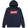 Levis Kids batwing screenprint hoodie for BOYS