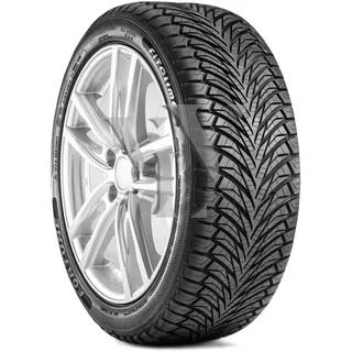 FSR-401 225/60 R17 99V