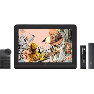 XPPen Artist 16 Pro (2nd Gen) + RC Grafiktablet - Schwarz, Grau