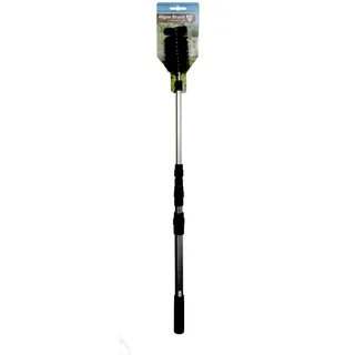 Algae Brush