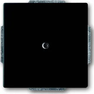 Busch-Jaeger Busch-Jaeger, Zubehör Schalterprogramm, Zentralscheibe