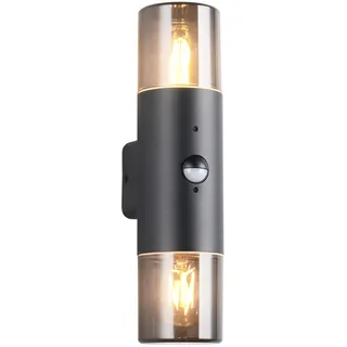 Trio Leuchten Außen Wandleuchte Hoosic 222260232, Druckguss Aluminium Schwarz matt, Schirm Acryl rauchfarbig, exkl. 2x E27, Bewegungssensor