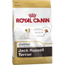 Bild Jack Russel Terrier Junior 3 kg