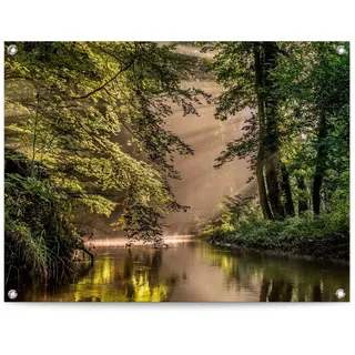 Poster REINDERS "Bach im Wald", grün (farbe bild(er): grün), B:80cm H:60cm T:0,1cm, Leinwand, Bilder, Poster