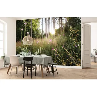 KOMAR Summer Glade 350 x 250 cm