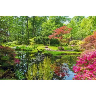 Papermoon "GARTEN-BLUMEN BÄUME PFLANZEN STEINE WALD PARK BLÜTEN", bunt,
