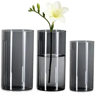 Wintfarm Vase,3 Set Grau Acryl Zylindervase,Klare Langlebige Unzerbrechliche Vasen,Vase Kunststoff für Blumenarrangements, Tischdeko,Hochzeits-Mittelstücke, Heimwerken (20x10 und 25x12 und 25x15cm)
