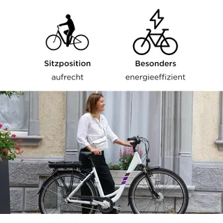 Zündapp Z502 2023 28 Zoll RH 50 cm Damen lila/weiß