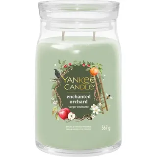 Yankee Candle Enchanted Orchard Duftkerze 567 g grün