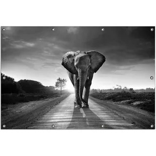Wallario Outdoor-Poster für Garten oder Balkon, Motiv Elefant bei Sonnenaufgang in Afrika schwarzweiß, in ca. 100 x 150 cm - Schwarz