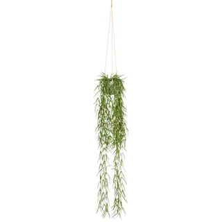Creativ green Kunstranke »Tillandsia aeranthos im Hängetopf« im Hängetopf aus Kunststoff, grün