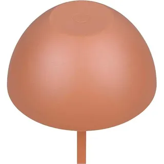 Trio Ortiz Apricot