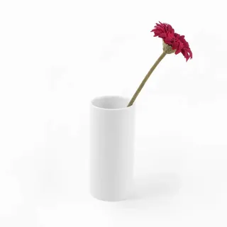 Holst Porzellan RV 015 Porzellanvase Röhre, weiß, 7 x 7 x 15 cm, 2 Stück