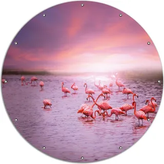 Wallario rundes Outdoor-Poster für Garten oder Balkon, Motiv Rosa Flamingos bei Sonnenuntergang, 120 cm Durchmesser - Rosa
