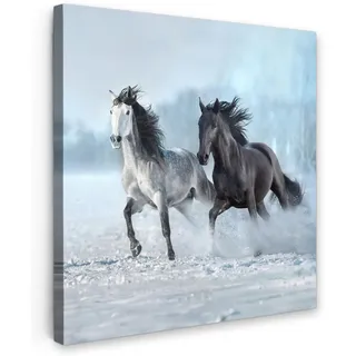 MuchoWow Leinwandbild Pferde - Winter - Tiere - Natur - Schnee 90x90 cm , Textil , Rechteckig , 90x90 cm , FSC 100% , gerahmt , Bilder & Rahmen, Bilder, Leinwandbilder