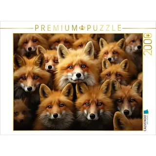CALVENDO Puzzle Viele Füchse auf einem Bild | 2000 Teile Lege-Größe 90x67cm Foto-Puzzle für glückliche Stunden