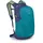 Daylite 13 l blau/spikemoss