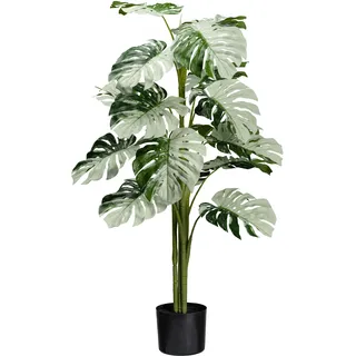 Creativ green Künstliche Zimmerpflanze »Monstera Variegata Halfmoon« mit außergewöhnlichem Blattwerk, grün