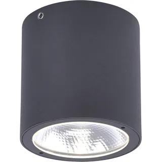 Paul Neuhaus LED Deckenlampe schwarz Aussenleuchte GEORG warmweiß IP54 1 flammig